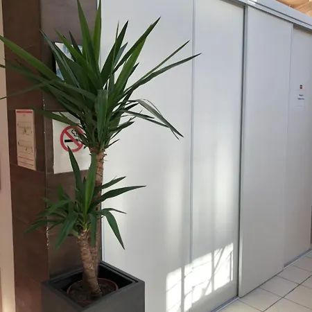 Paris Pacific Paris-villejuif- Pres Du Metro L'hay Les Roses Ligne 14 - Direct Paris-aeroport Orly Et Institut Gustave Roussi 3*