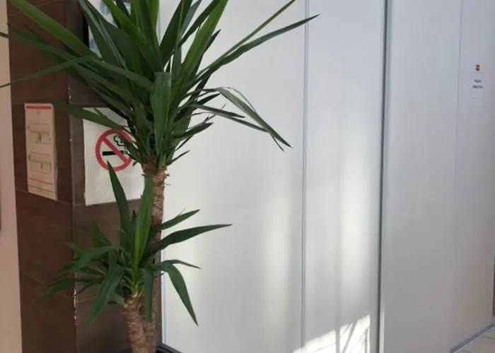 Hotel Restaurant Paris Pacific Paris-villejuif- Pres Du Metro L'hay Les Roses Ligne 14 - Direct Paris-aeroport Orly Et Institut Gustave Roussy